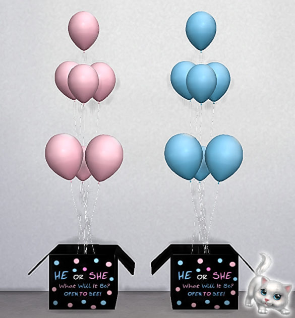 Sims 4 Gender Reveal Box