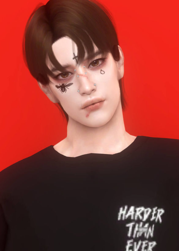 Sims 4 cha jae sang for shyapanza