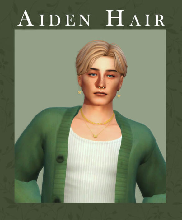 Sims 4 aiden hair