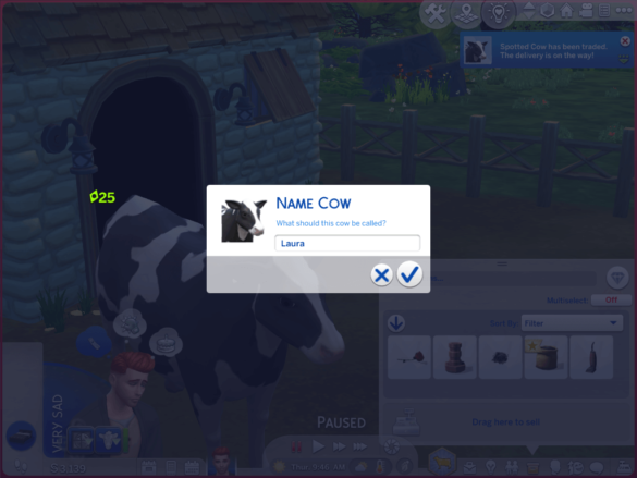 More suggested names for bunnies, llamas