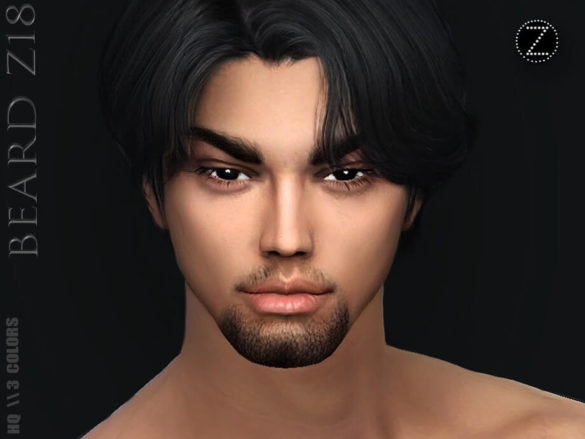 The Sims 4 BEARD Z18 by ZENX