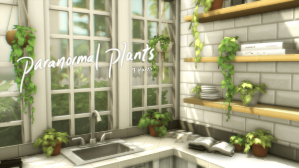 pair o normal plants i took the plants from the
