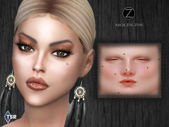 The Sims 4 MOLES Z06 by ZENX at TSR