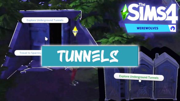 Moonwood Mill - Tunnels