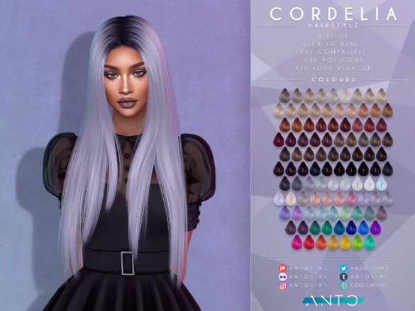 Anto Cordelia - Hairstyle
