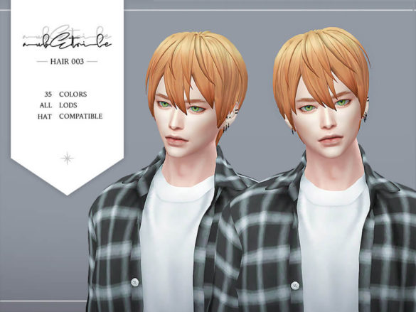 Hair 003 korean male hair