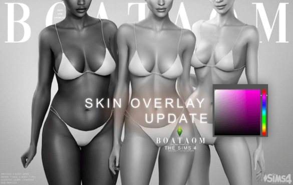 Precious S Body skin - Overlay ver