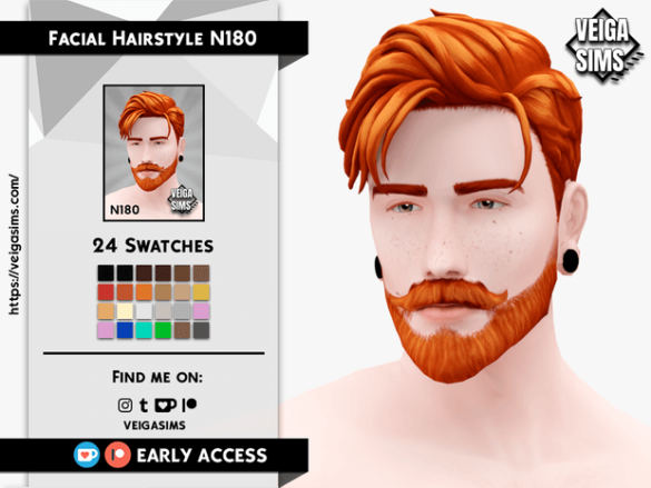 Facial Hair Style N180