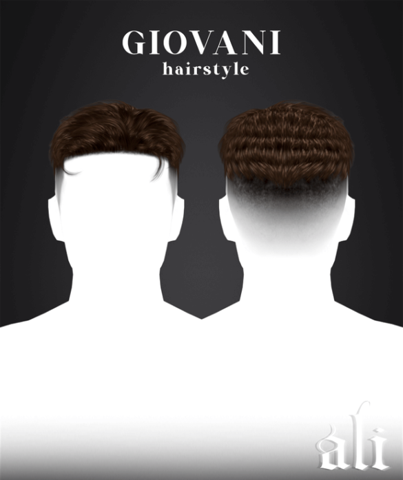 GIOVANI hairstyle