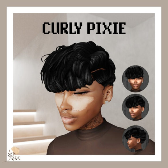 CURLY PIXIE