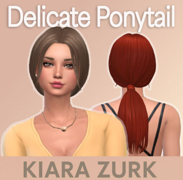 Delicate Ponytail
